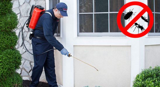 Çiftlikköy Kemirgen İlaçlama böcek ilaçlama ve haşere kontrolü — ilaclama-tr.com